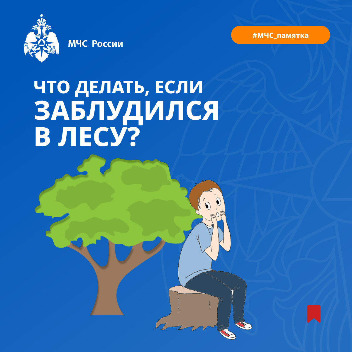 Что делать, если заблудился в лесу?.